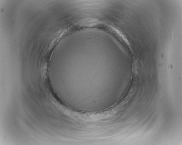 X0000075830018200609291433