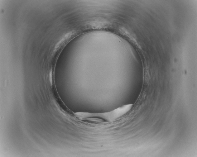 X0000075830019200609291433