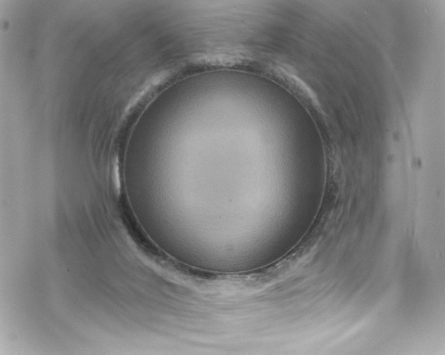 X0000075830020200609291433