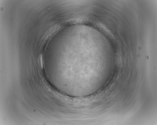 X0000075830022200609291433