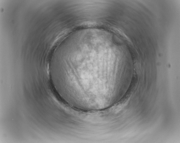 X0000075830024200609291433