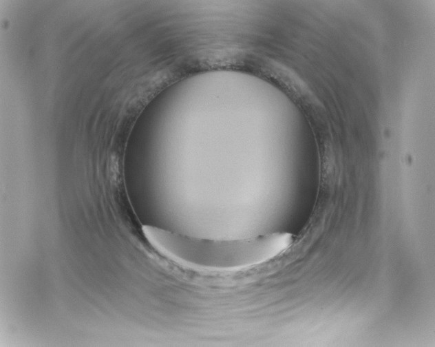 X0000075830025200609291433