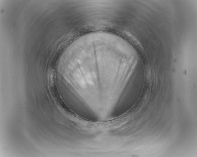 X0000075830026200609291433