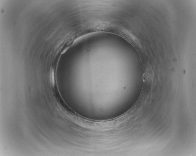 X0000075830027200609291433