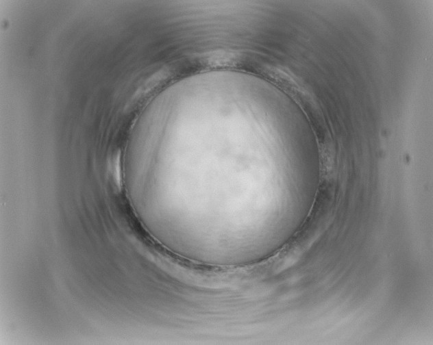 X0000075830028200609291433