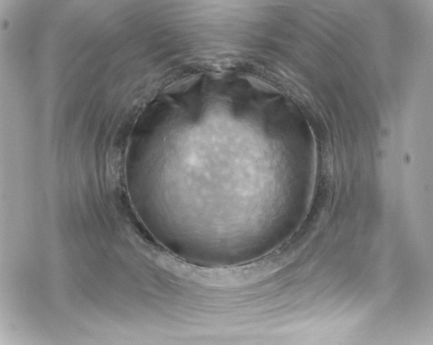 X0000075830030200609291433