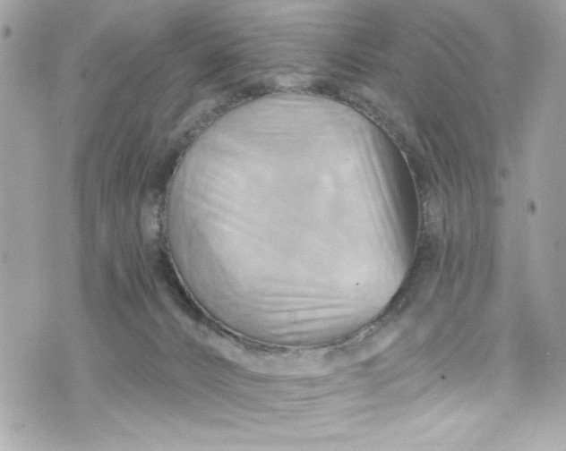 X0000075830032200609291433