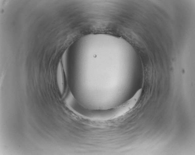 X0000075830033200609291433