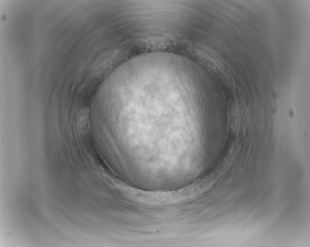 X0000075830034200609291433