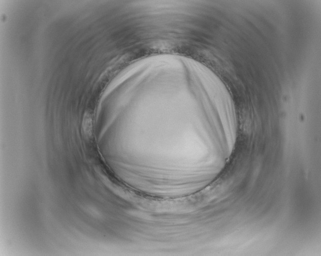 X0000075830036200609291433