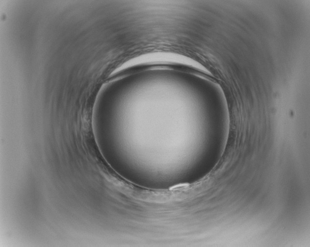 X0000075830037200609291433