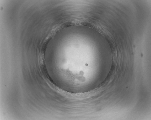 X0000075830038200609291433