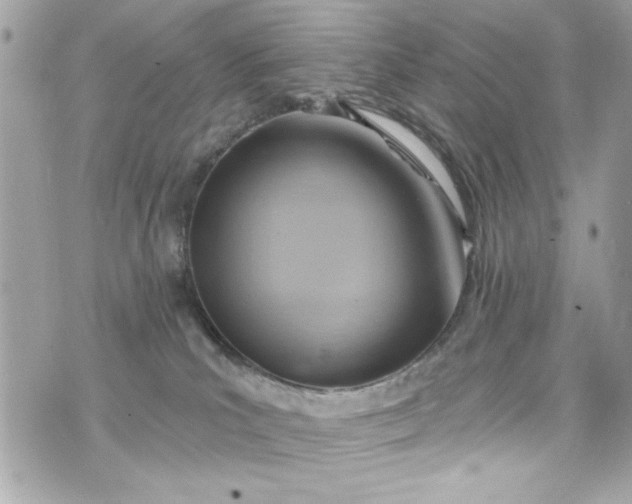 X0000075830039200609291433