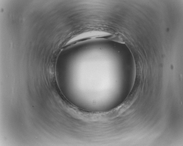 X0000075830040200609291433