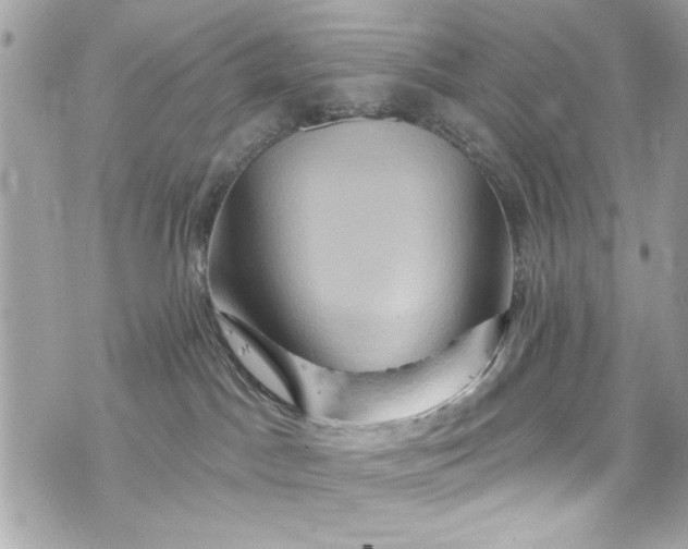 X0000075830045200609291433