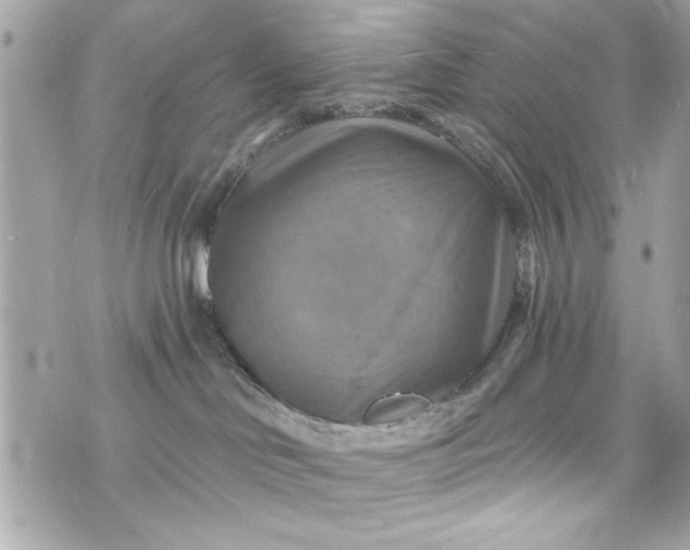 X0000075830046200609291433