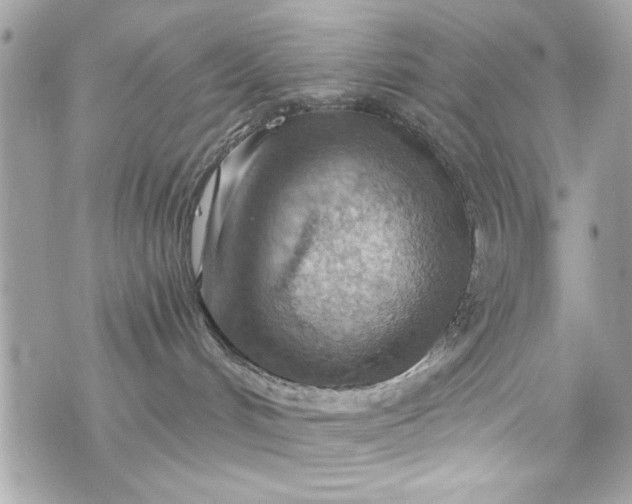 X0000075830048200609291433