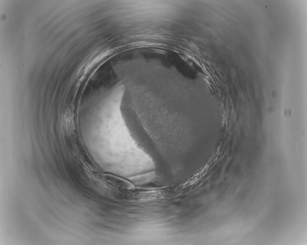 X0000075830050200609291432