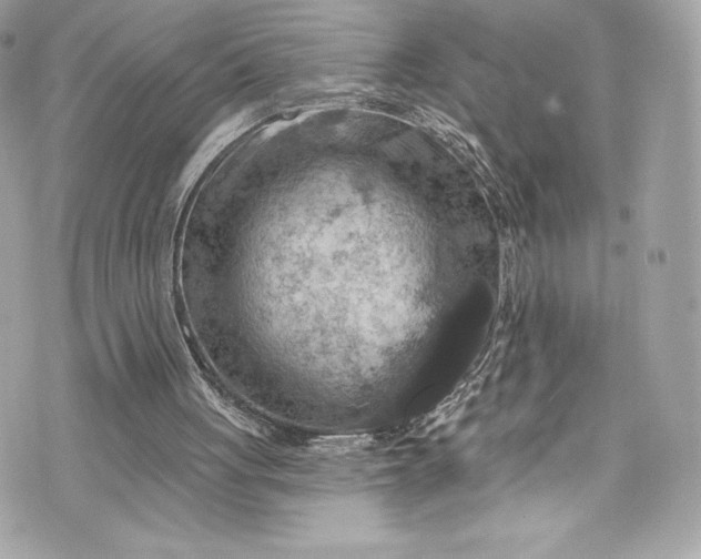 X0000075830051200609291432