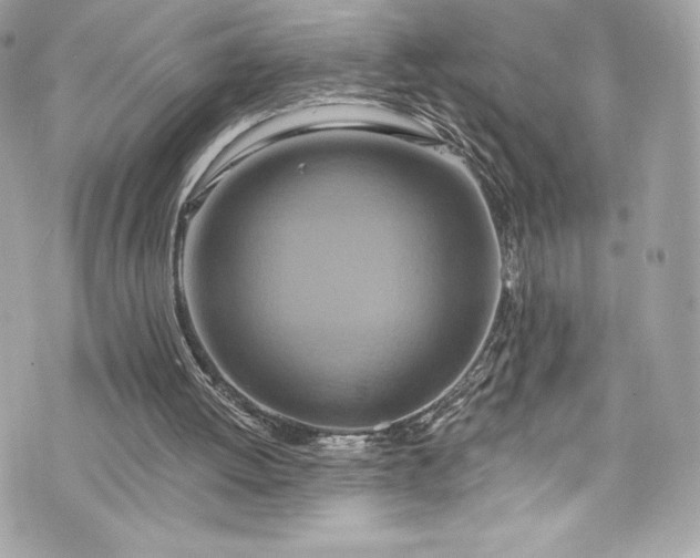 X0000075830052200609291432