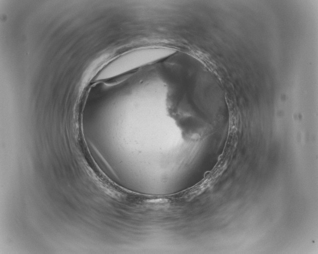 X0000075830053200609291432