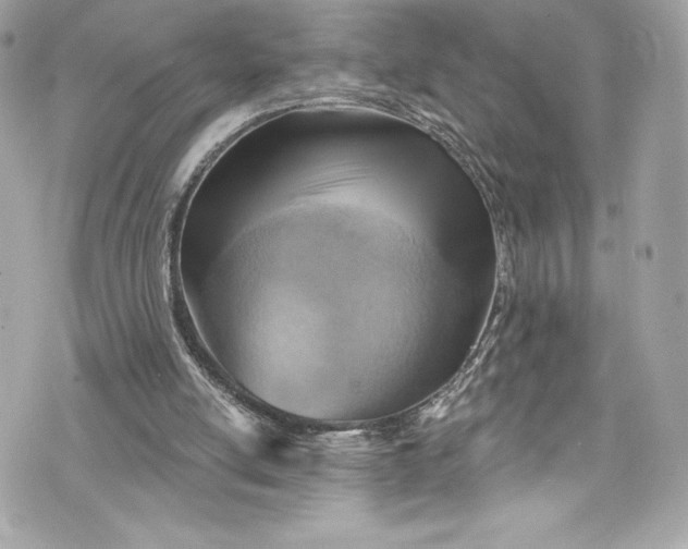 X0000075830054200609291432