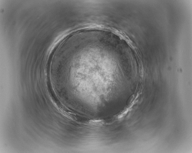 X0000075830055200609291432