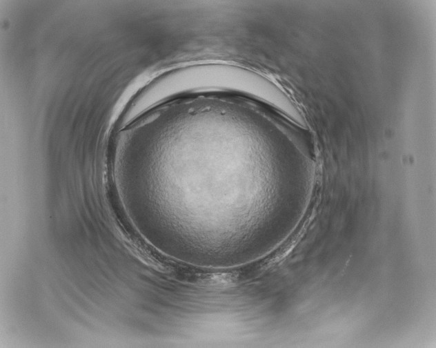 X0000075830056200609291432