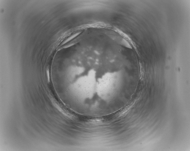 X0000075830061200609291432