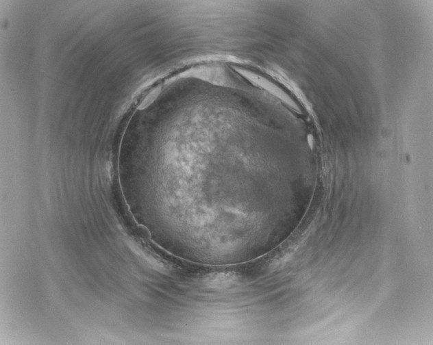 X0000075830063200609291432