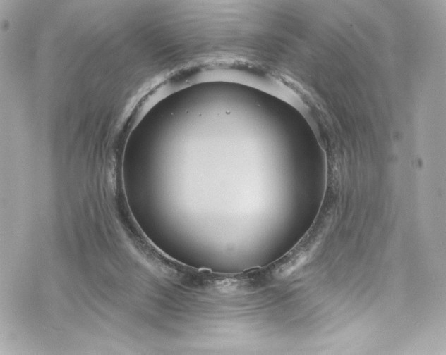 X0000075830064200609291432