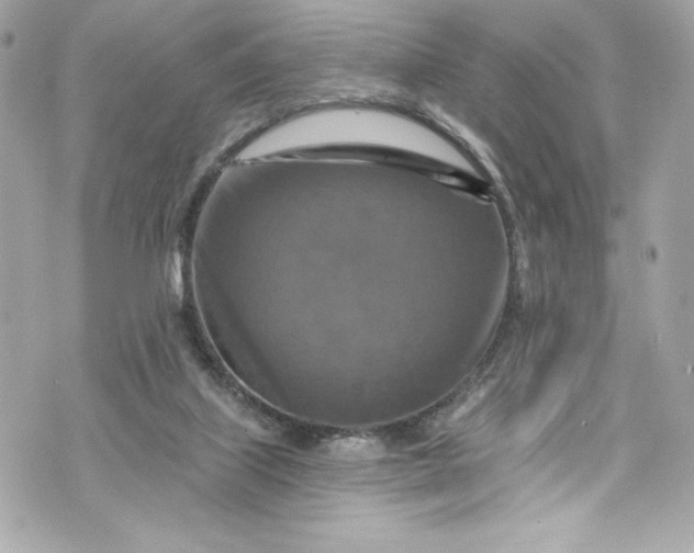 X0000075830067200609291432