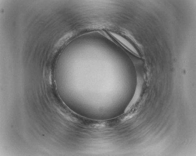 X0000075830068200609291432