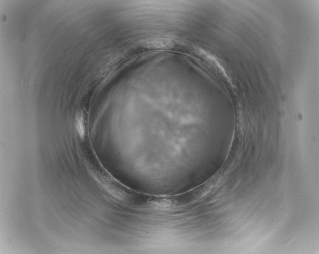 X0000075830069200609291432