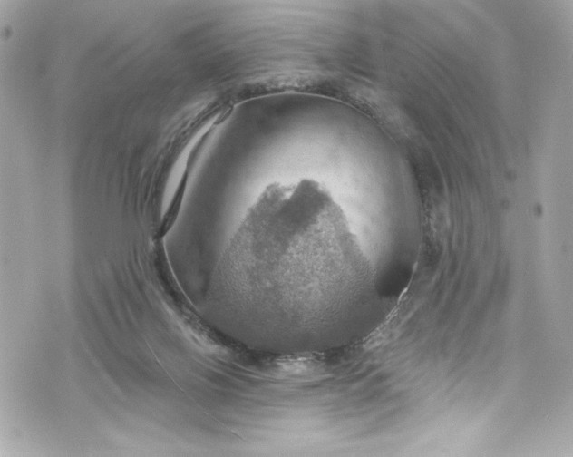 X0000075830070200609291432