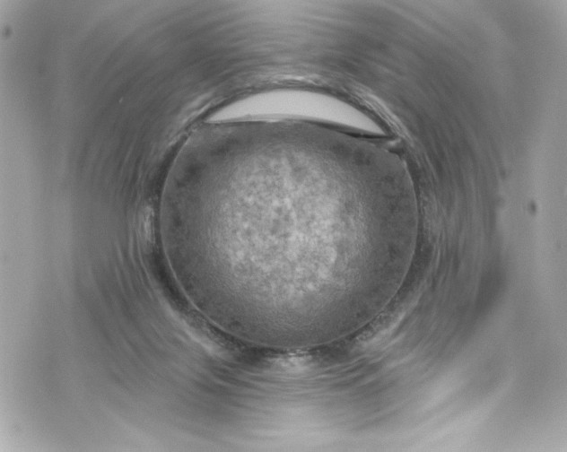 X0000075830071200609291432