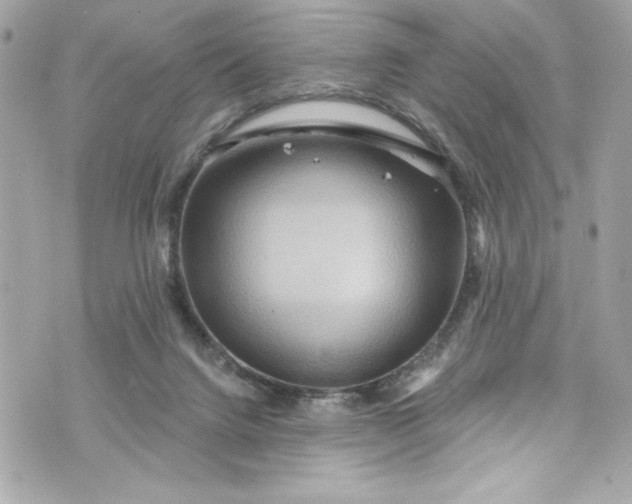 X0000075830072200609291432