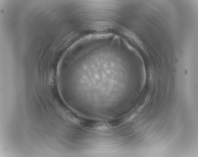 X0000075830073200609291432