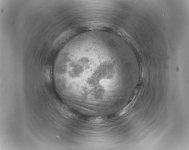 X0000075830074200609291432