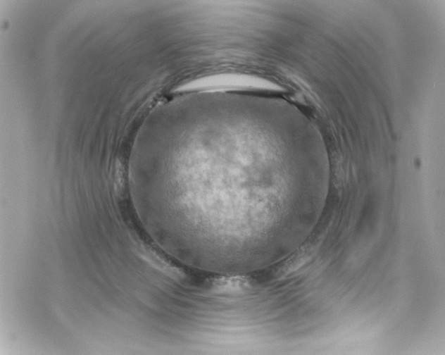 X0000075830077200609291432