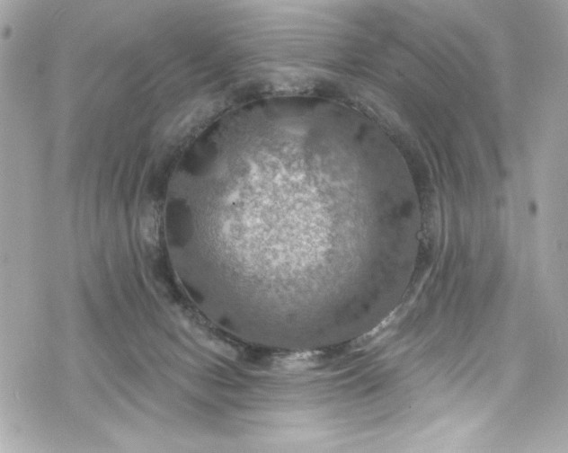 X0000075830078200609291432