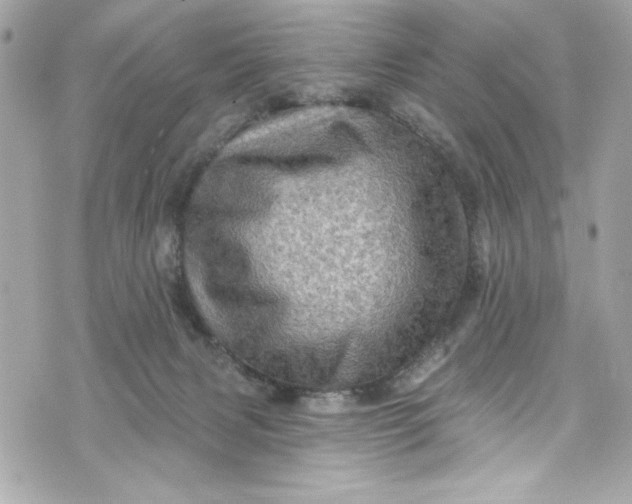 X0000075830079200609291433