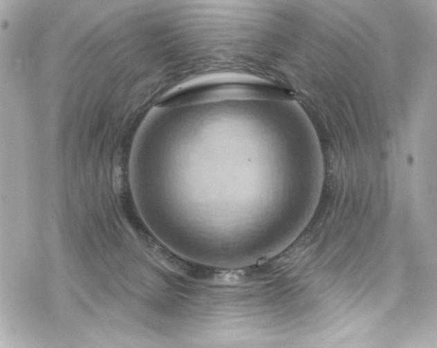 X0000075830080200609291433