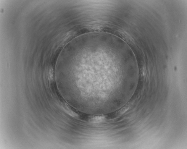 X0000075830081200609291433