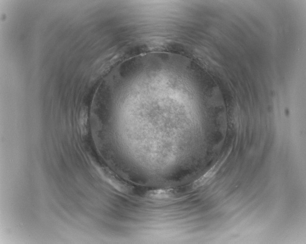 X0000075830082200609291433