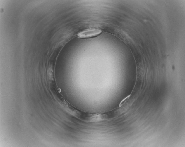 X0000075830083200609291433