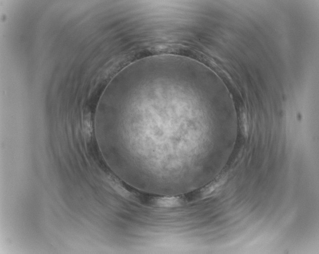 X0000075830085200609291433