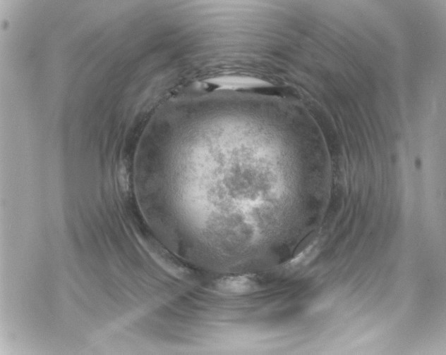 X0000075830086200609291433