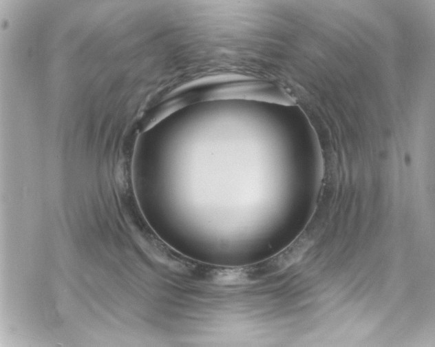 X0000075830088200609291433