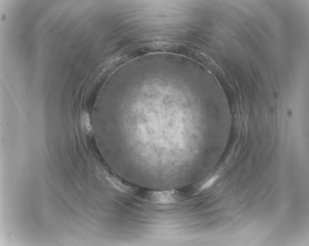 X0000075830089200609291433